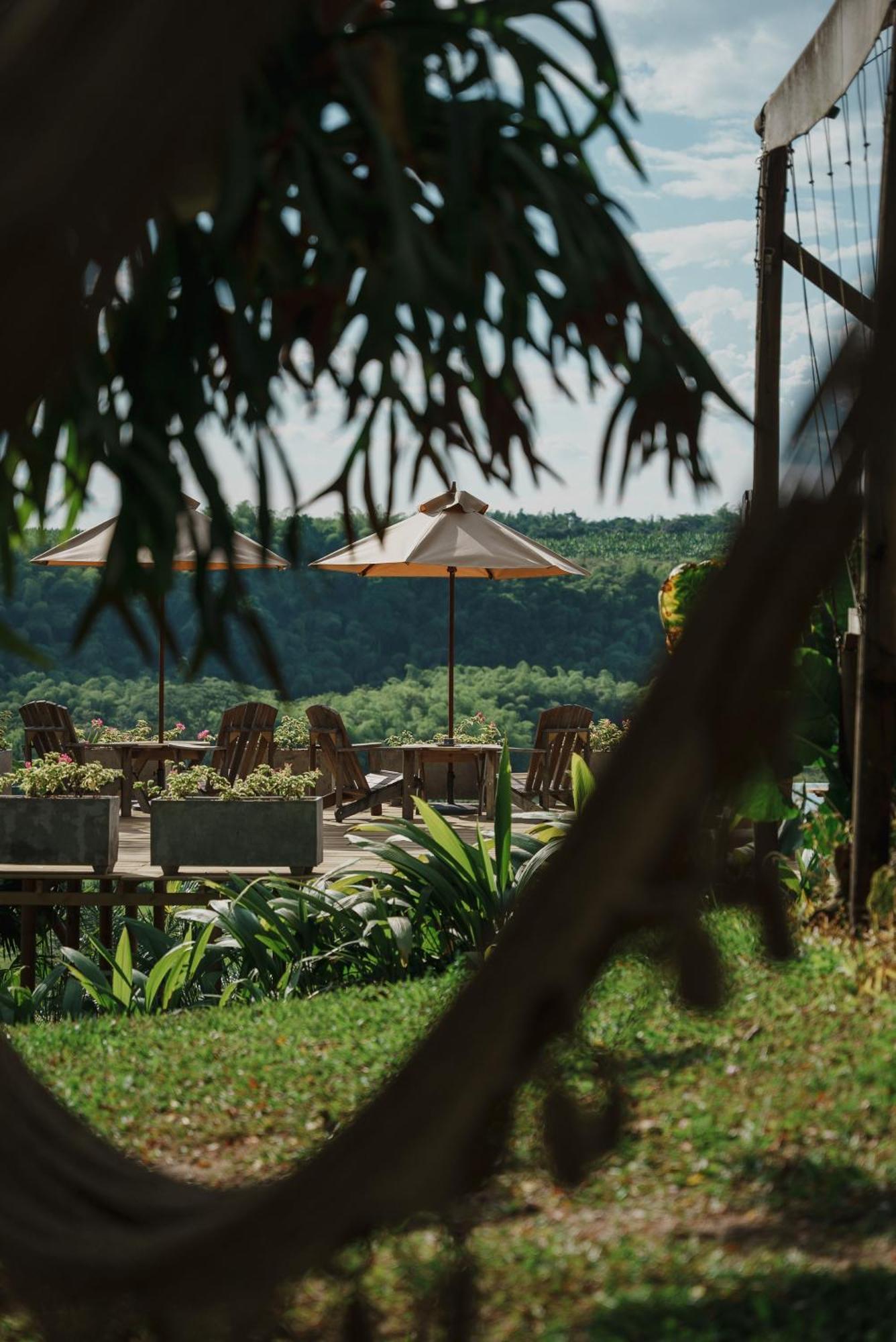 Glamping Entre Rios Hotel Calarcá Eksteriør billede