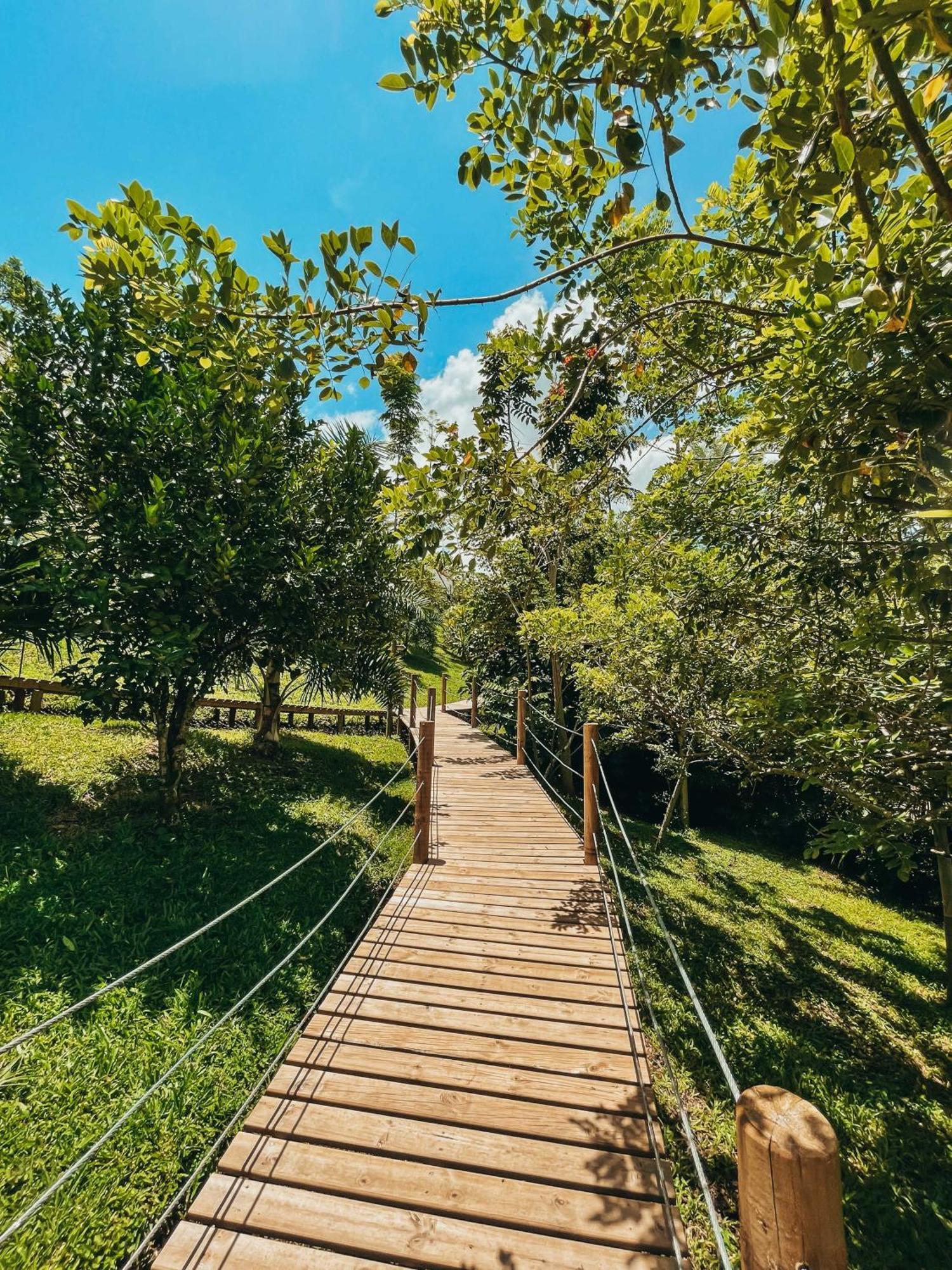 Glamping Entre Rios Hotel Calarcá Eksteriør billede