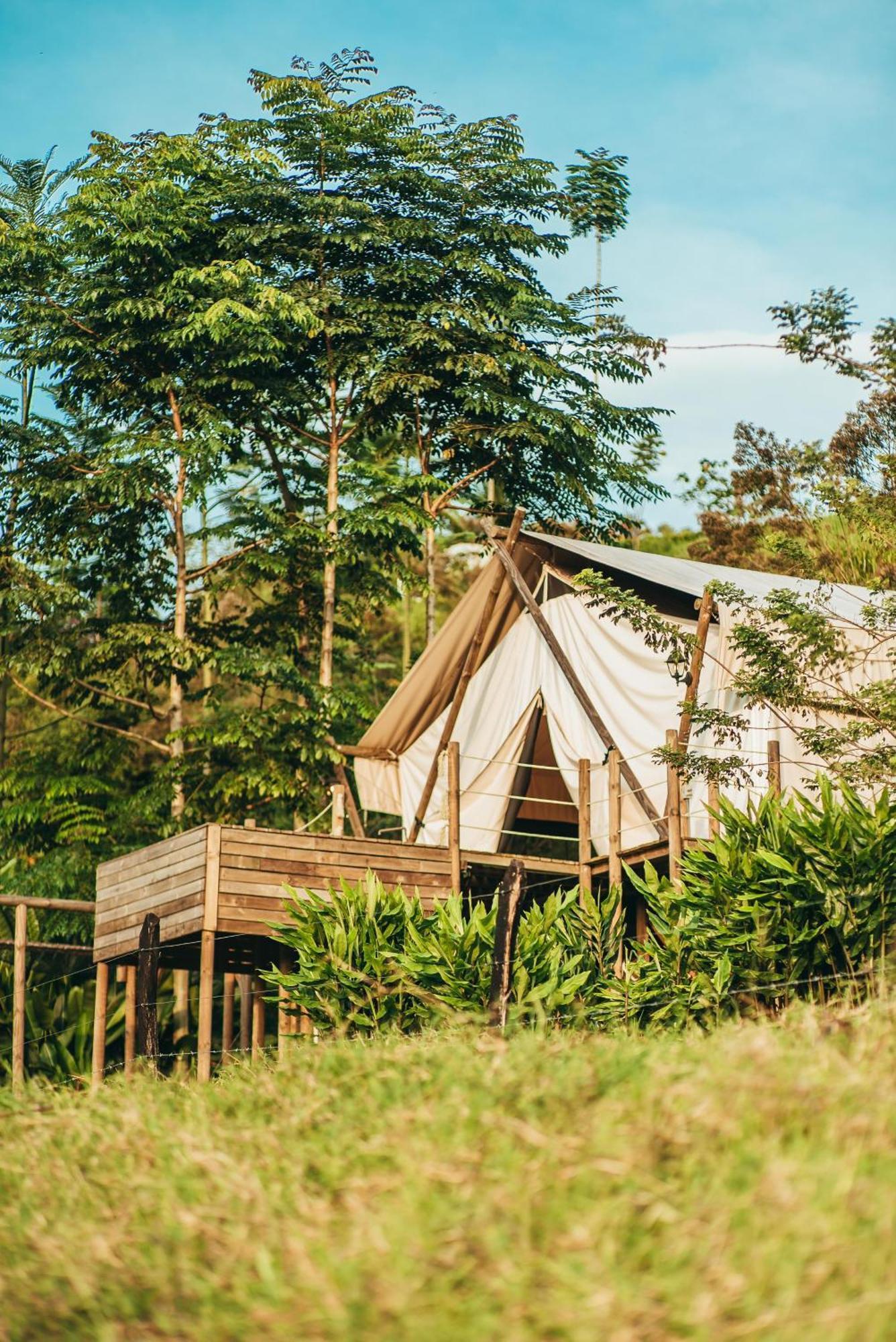 Glamping Entre Rios Hotel Calarcá Eksteriør billede
